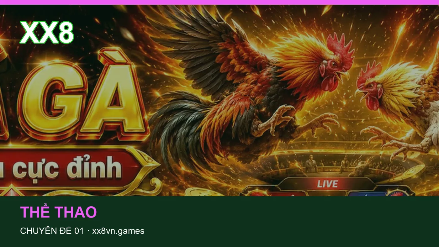 Cách bắt đầu đọc chuyên mục Thể thao trên XX8 | xx8vn.games