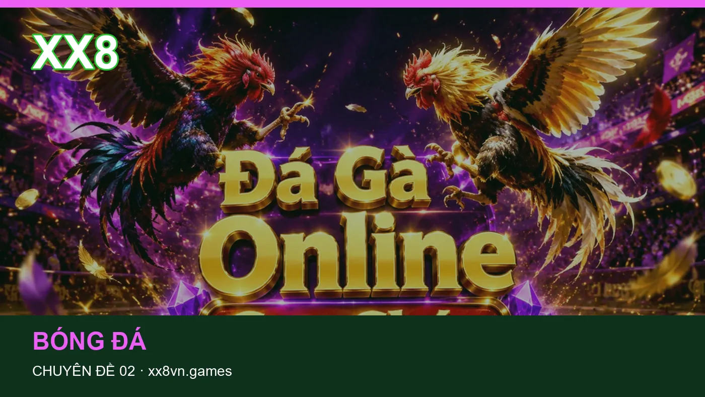 Trải nghiệm Lịch thi đấu trên điện thoại cùng cẩm nang XX8 | xx8vn.games