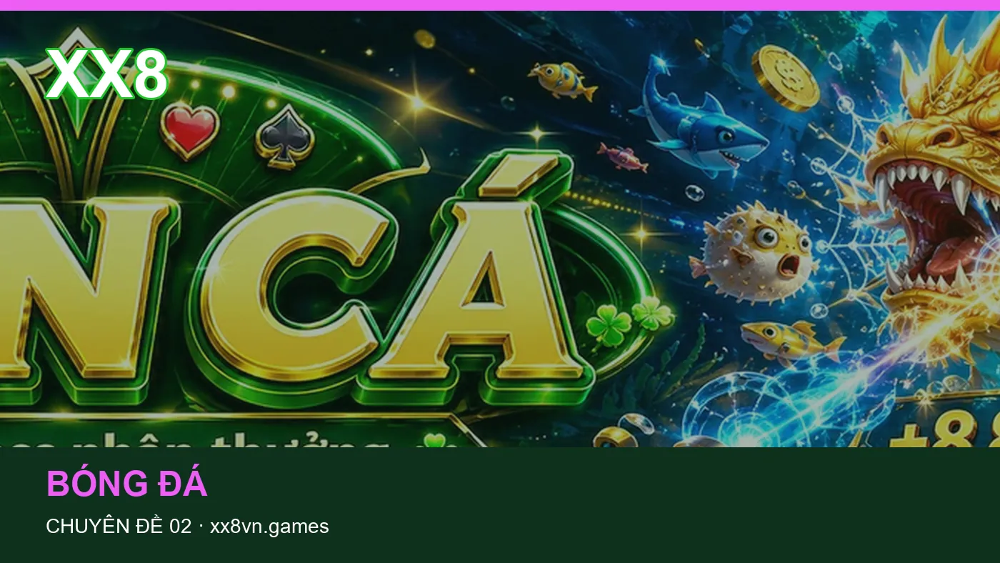 Đối chiếu nguồn và thời điểm cập nhật trong Hỏi đáp của XX8 | xx8vn.games